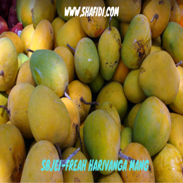 SBJEI-FREAH HARIVANGA MANGO